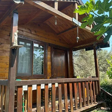 Olimpos Bungalov Apart Hotel Balikliova